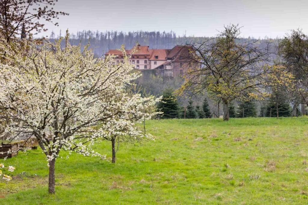 Maison Privilege Nature A La Petite Pierre ภายนอก รูปภาพ
